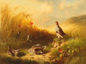 Perdiz con crías en los pastos de montaña de Ludwig Schuster